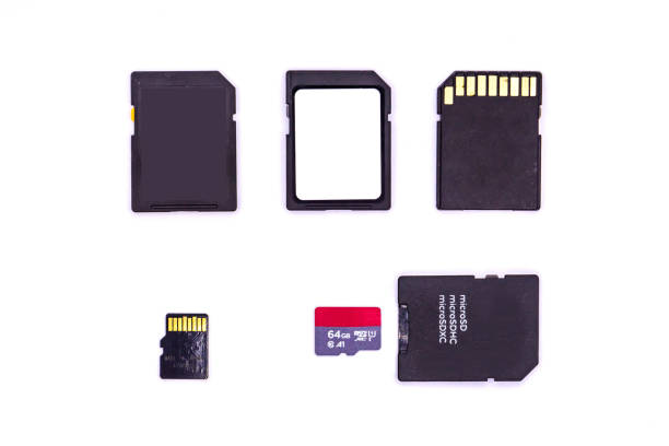 istock Memory cards - various sizes SD cards isolated on white background. SD and micro SD Cards. 1281931963