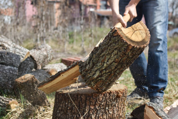 istock Lumberjack chopping wood for winter 1281933886