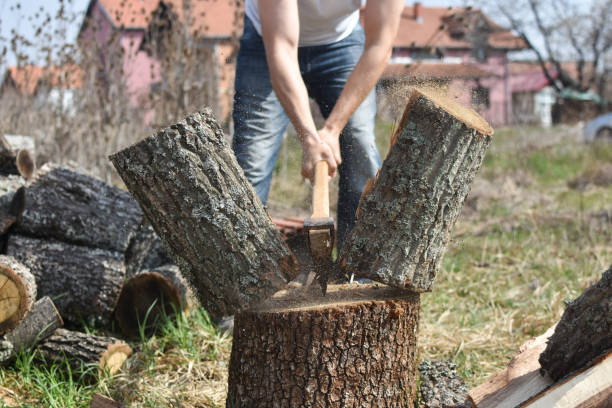 istock Lumberjack chopping wood for winter 1281933894