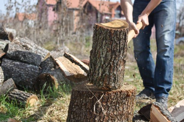 istock Lumberjack chopping wood for winter 1281933903