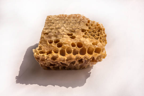 istock Piece of honeycomb with natural honey 1281935529