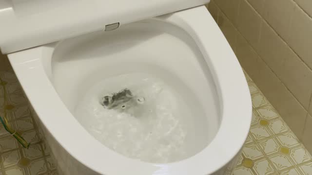 Flush toilet, flush water