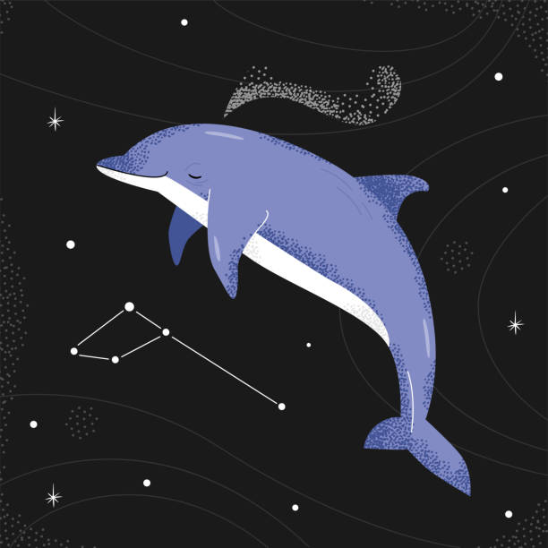 Blue dolphin flying in the night starry sky. delphinus constellation. Blue dolphin flying in the night starry sky. delphinus constellation. Vector illustration constellation delphinus stock illustrations