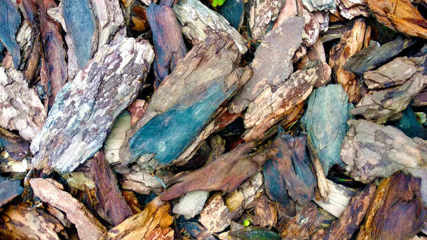 istock Multi-colored brown blue and purple orange mulching flowerbeds using natural pine mulch. natural mulch for landscapes. Close for background 1281937576