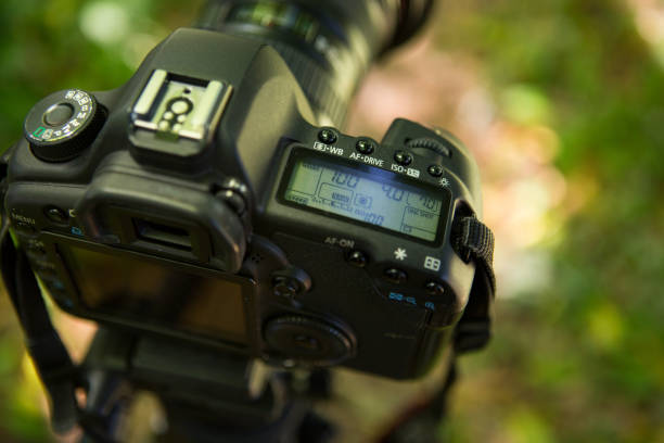 istock Canon DSLR camera on a tripod, blurred background 1281937633