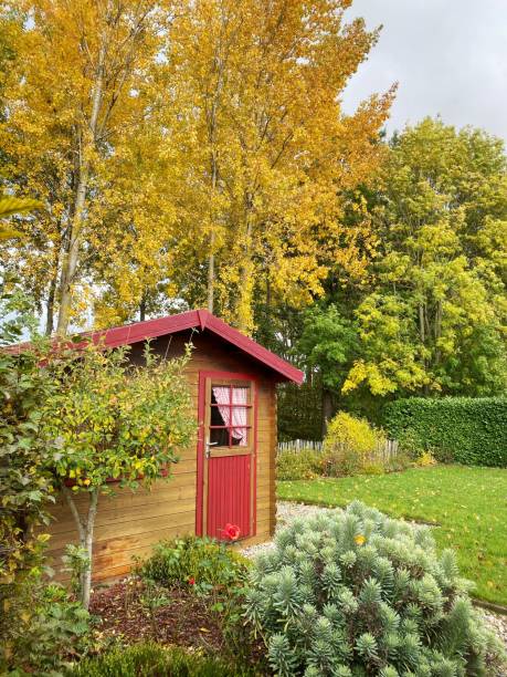 istock Changing colors in the garden 1281939048