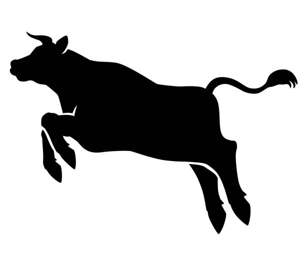 die silhouette einer hüpfenden kuh von der seite gesehen. die silhouette einer hüpfenden kuh von der seite gesehen. - rindfleisch stock-grafiken, -clipart, -cartoons und -symbole