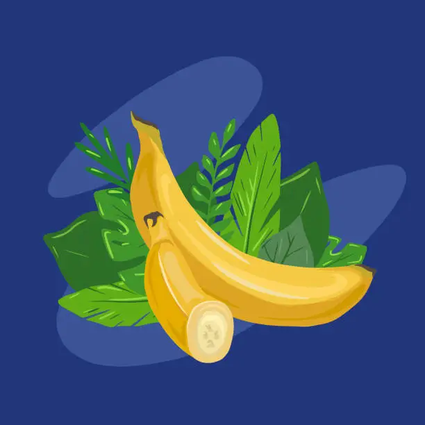 Vector illustration of Cartoon two various bananas with tropical leaves and blue background. Delicious juicy treat. Vector flat illustration