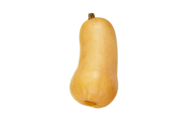 istock Butternut squash or pumpkin isolated on white. 1281950994