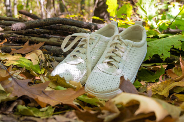 istock White sneakers stand in the foliage 1281951068