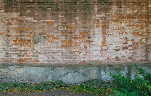 istock vintage brick wall with peeling paint, stains, mildew and green moss 1281953316