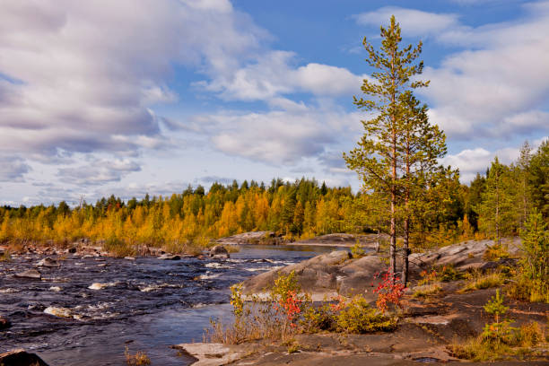 istock Vyg river. Karelian autumn Landscape, Russia. 1281954342