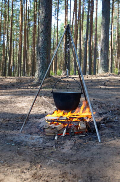 istock Tourist pot on a fire in a Pine forest 1281955617