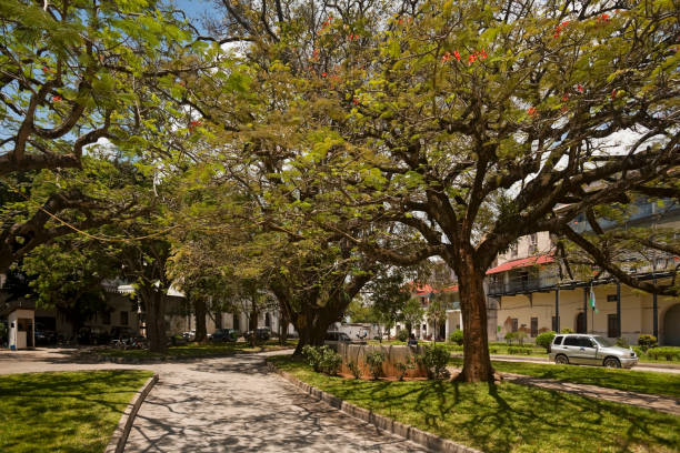 istock Stone Town; Zanzibar, Tanzania 1281956218