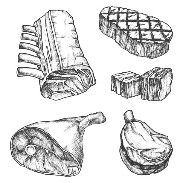 스케치 고기, 바베큐 쇠고기 스테이크, 그릴 갈비와 베이컨 - steak meat t bone steak raw stock illustrations