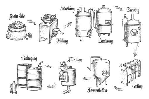 Beer brewery factory and brewing process infographics, vector sketch icons. Beer production line from barley grain milling, brewing, filtration and fermentation tuns to filtration and barrel packaging