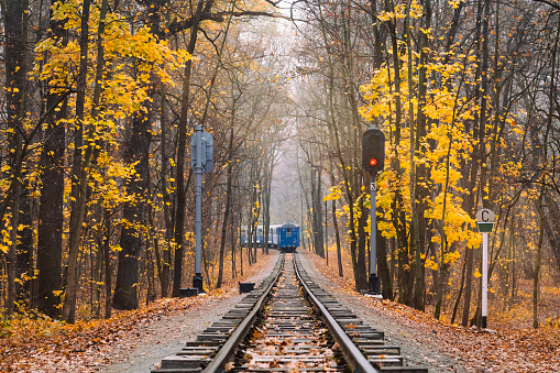 Old vintage blue railway train back view on the track rails goes away. Railroad single track through the woods in autumn. Fall landscape. red stop semaphore signal.