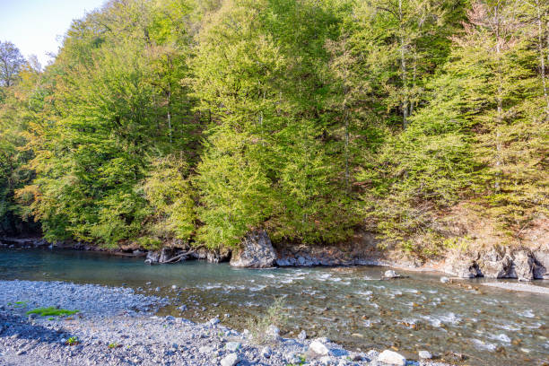 istock Turbulent flow of a mountain river in the daytime 1281959546