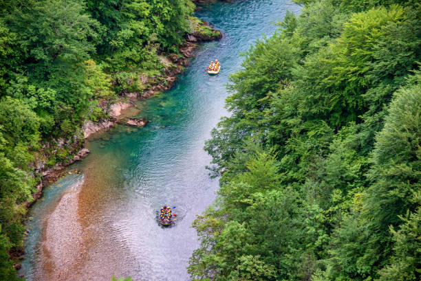 Rafting on the river Tara, Durmitor National Park Rafting on the river Tara, Durmitor National Park, Montenegro. Top view durmitor national park photos stock pictures, royalty-free photos & images