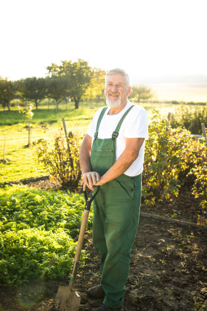 istock Senior gardener holding a spade 1281960694