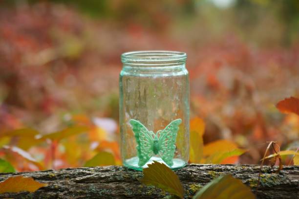 istock Toy butterfly in a glass jar. 1281963007