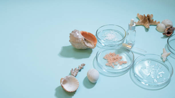 istock Eco-friendly cosmetics based on natural ingredients. Marine collagen and trace elements. 1281964505