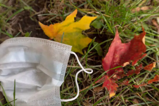 An inadvertently discarded face mask that fell in the park among the autumn leaves. The topic of coronavirus infection prevention.