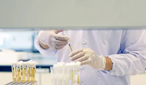 Photo of Scientist transfer sample using syringe, Most Probable number (MPN) technique for counting the Coliform bacteria cultured with Tryptose Lauryl broth in Test-tube yellow solution for analysis disease.