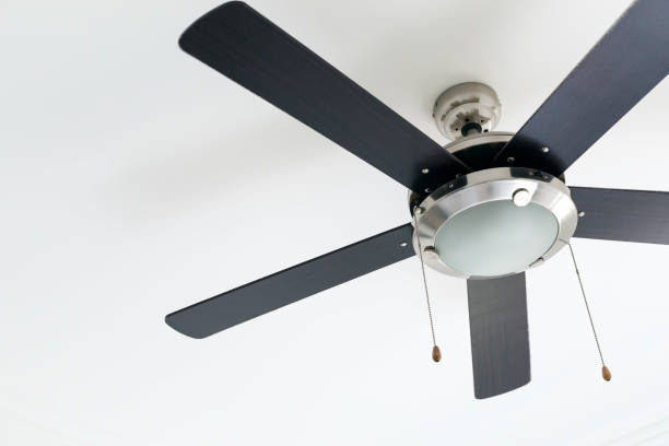 istock Electric ceiling fan lamp 1281971689