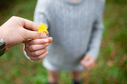 Parents and child handing yellow flower