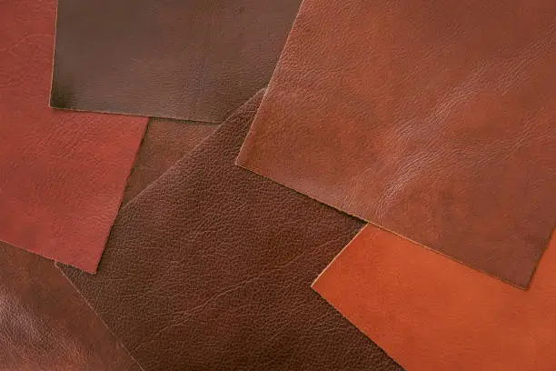 Various samples of genuine leather samples of different colors, brown shades for choice, top view. Manufacturing concept