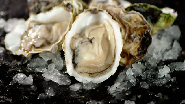 Fresh ice oysters slowly rotate on the table.