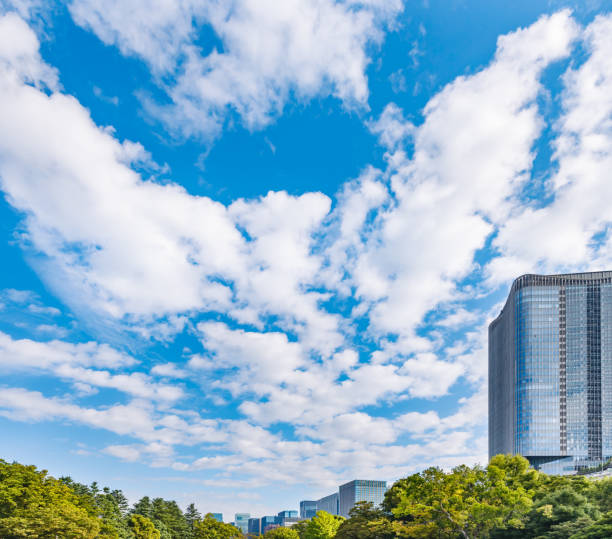 istock Fresh green trees and buildings in Tokyo 1281979347