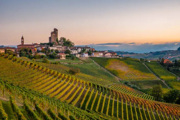 The Langhe are a territory or geographical sub-area of lower Piedmont, located between the provinces of Cuneo and Asti, consisting of an extensive hilly system, bordered by the course of the rivers Tànaro, Belbo, Bòrmida di Millesimo and Bòrmida di Spigno