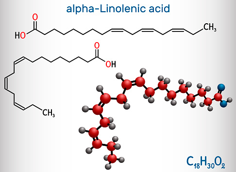 Alpha-linolenic acid, ALA molecule. Carboxylic, polyunsaturated omega-3 fatty acid. Component of many common vegetable oils. Structural chemical formula, molecule model. Vector illustration