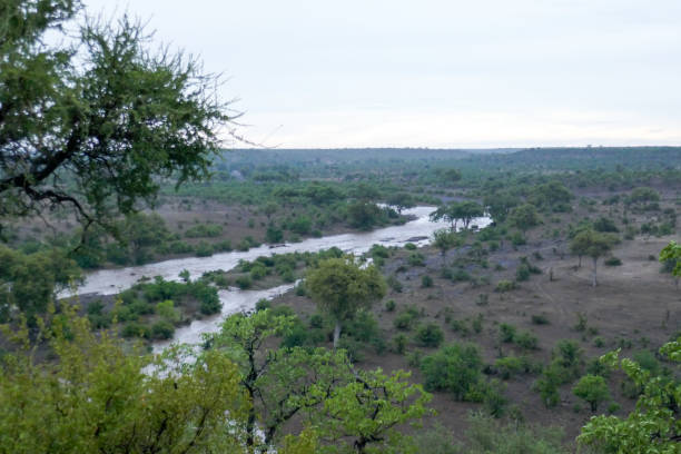 istock Northern Tuli Region, Botswana 1281986826