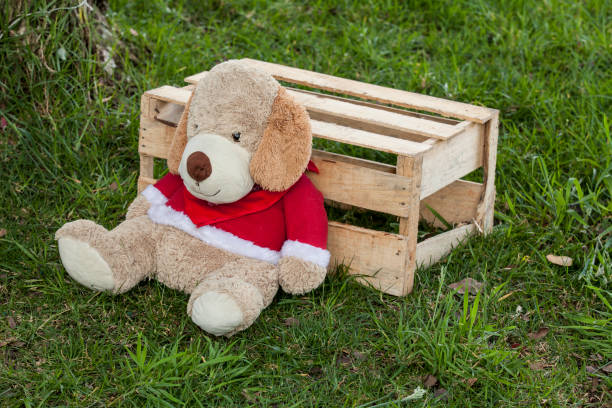 Stuffed dog lying in a wooden box on the green grass.