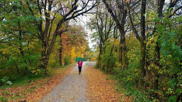 passeggiata autunnale - alenka foto e immagini stock