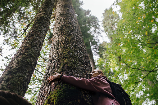 Young woman hugging tall tree in a mountain forest. Low angle, upward shot. She's wearing pink and backpack. Low angle, upward shot