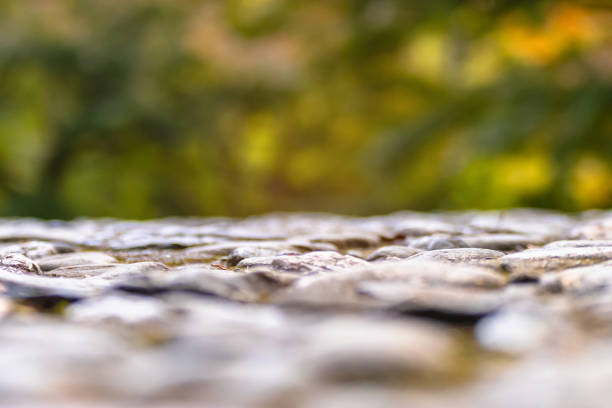 Stone cobbles path with fallen autumn leaves in colorful autumn on background. Abstract background.
