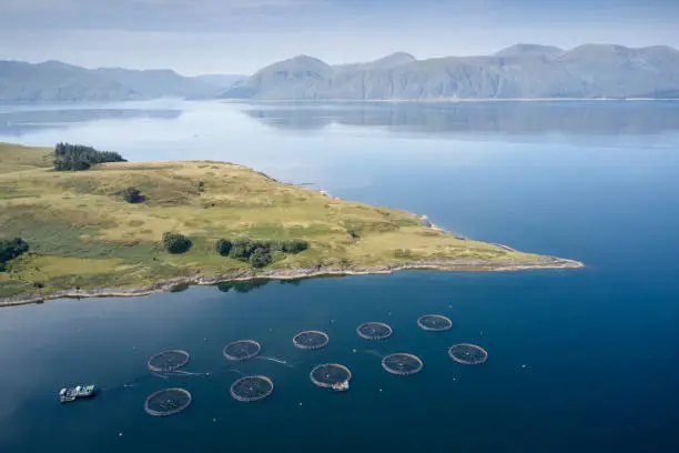 Fish farm salmon round nets in natural environment Loch Awe Arygll and Bute Scotland UK
