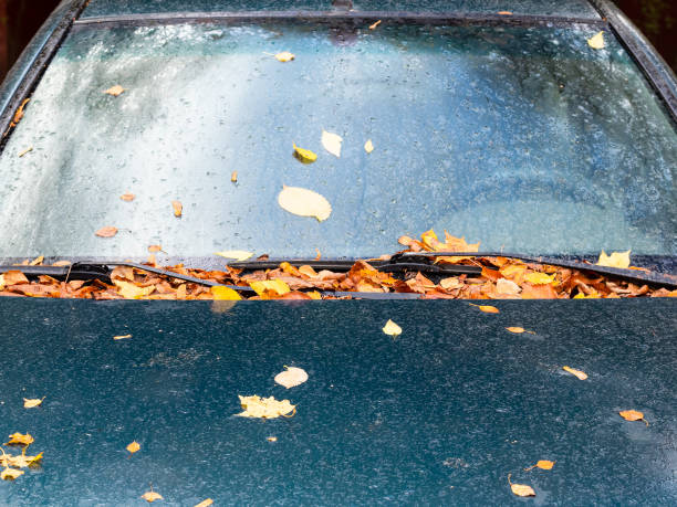 istock fallen leaves on car hood outdoors in autumn 1281994677