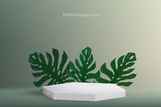 istock White hexagon shape on light navy green background with green leaves like monstera plant. 1281995717