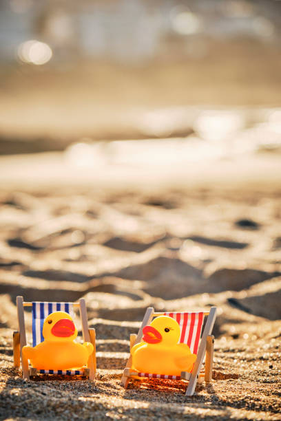 Beach holiday concept, two miniature rubber ducks sat on model deck chairs on the sand at Fistral Beach, Newquay, Cornwall on a sunny Autumn day.