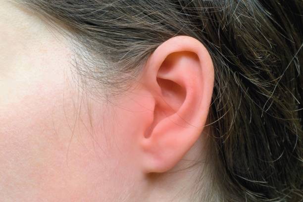 Woman's ear with red marks of inflammation, health problem Woman's ear with red marks of inflammation, health problem ear drumm stock pictures, royalty-free photos & images