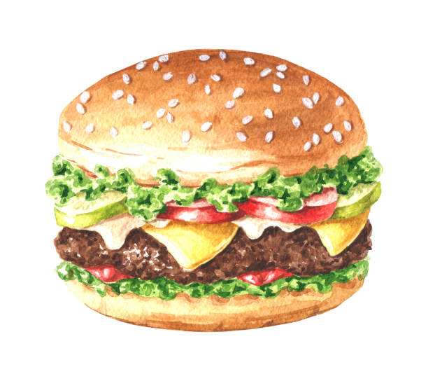 ilustrações, clipart, desenhos animados e ícones de aquarela desenhada à mão deliciosa ilustração de hambúrguer, fastfood isolado no fundo branco. - 3109