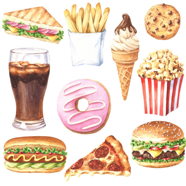 ilustrações de stock, clip art, desenhos animados e ícones de set of hand drawn delicious fast food meal, realistic illustration isolated on white background. - cold sandwich illustrations