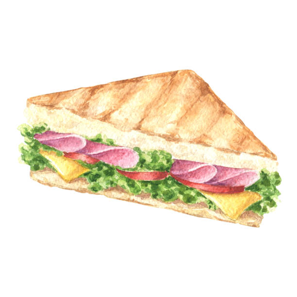 손으로 그린 수채화 샌드위치, 맛있는 음식 디자인, 흰색 배경에 고립. - sandwich ham white background lunch stock illustrations