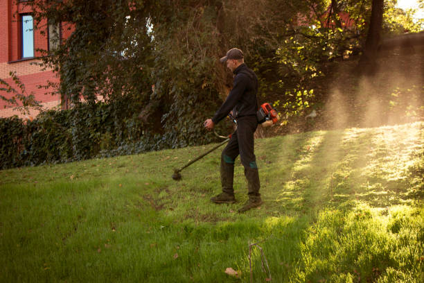 trabajo de otoño en el parque. el jardinero corta la hierba antes del invierno. - hedge clippers weed trimmer grass lawn fotografías e imágenes de stock