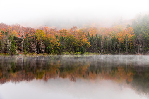 Autumn landscape by the lake. Nature with fog in the morning.